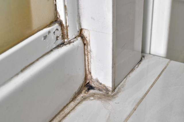 Reparatur & Instandsetzung (Photo 1)